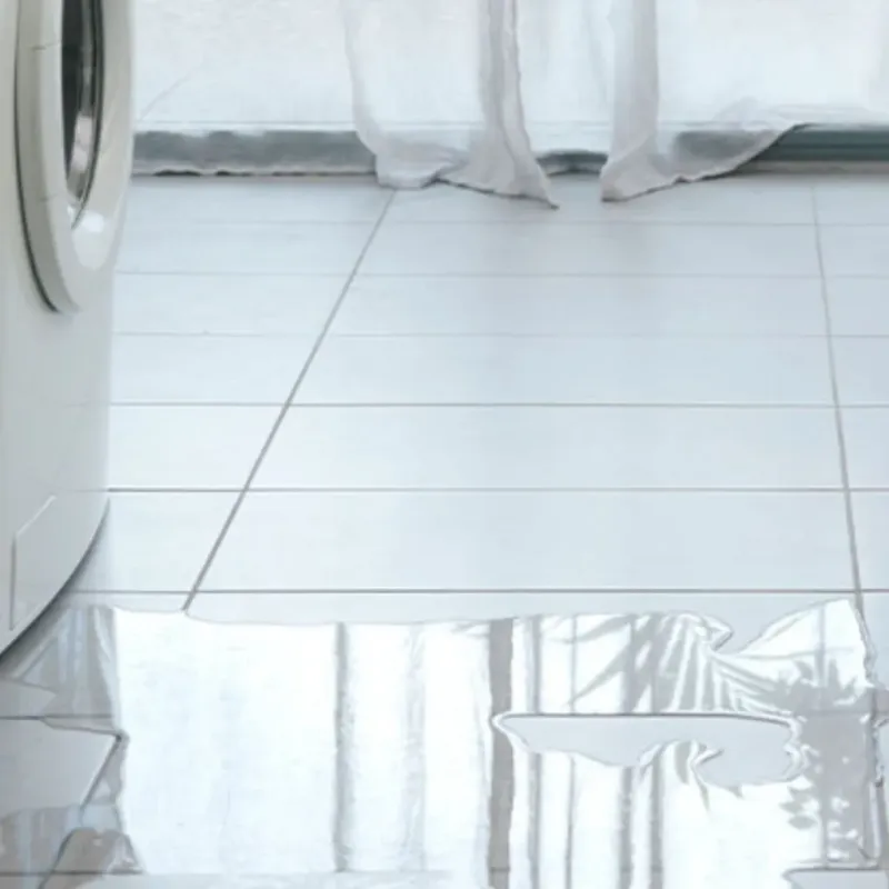 Appliance Leak Cleanup in West Whittier-Los Nietos, CA