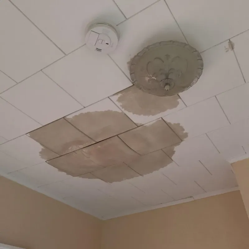 Ceiling Water Damage Repair in West Whittier-Los Nietos, CA